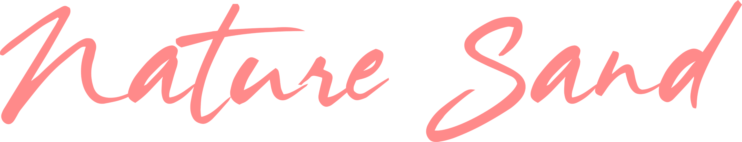 naturesand-logo